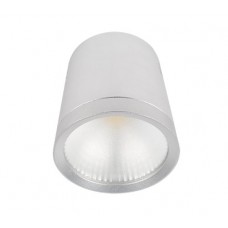 LED ΣΠΟΤ ΟΡΟΦΗΣ ΠΥΡΓΟΣ 20W ΕΝΔΙΑΜΕΣΟ ΛΕΥΚΟ ΦΩΣ 4000Κ COB ΕΞΩΤΕΡΙΚΟ - ΕΠΙΤΟΙΧΟ ΜΕ ΣΩΜΑ ΛΕΥΚΟ ΑΛΟΥΜΙΝΙΟΥ Φ9,5 Χ 11cm ΔΕΣΜΗ 60° 230V 1600 lumens