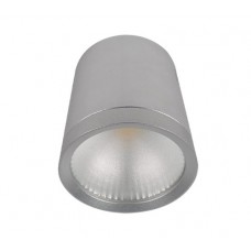 LED ΣΠΟΤ ΟΡΟΦΗΣ ΠΥΡΓΟΣ 20W ΕΝΔΙΑΜΕΣΟ ΛΕΥΚΟ ΦΩΣ 4000Κ COB ΕΞΩΤΕΡΙΚΟ - ΕΠΙΤΟΙΧΟ ΜΕ ΣΩΜΑ ΑΣΗΜΙ (ΓΚΡΙ) ΑΛΟΥΜΙΝΙΟΥ Φ9,5 Χ 11cm ΔΕΣΜΗ 60° 230V 1600 lumens