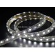 240V LED TΑΙΝΙΕΣ (ΛΕΙΤΟΥΡΓΙΑ ΧΩΡΙΣ ΤΡΟΦΟΔΟΤΙΚΟ) ΑΔΙΑΒΡΟΧΕΣ (ΣΤΕΓΑΝΕΣ) ΕΥΚΑΜΠΤΕΣ ΑΥΤΟΚΟΛΛΗΤΕΣ IP67 240V LED TΑΙΝΙΕΣ (ΛΕΙΤΟΥΡΓΙΑ ΧΩΡΙΣ ΤΡΟΦΟΔΟΤΙΚΟ) ΑΔΙΑΒΡΟΧΕΣ (ΣΤΕΓΑΝΕΣ) ΕΥΚΑΜΠΤΕΣ ΑΥΤΟΚΟΛΛΗΤΕΣ IP67
