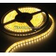 7.2W/m (ΜΕΣΑΙΟΥ ΦΩΤΙΣΜΟΥ) LED TΑΙΝΙΕΣ ΜΗ ΑΔΙΑΒΡΟΧΕΣ (ΑΠΛΕΣ) 24VDC ΕΥΚΑΜΠΤΕΣ ΑΥΤΟΚΟΛΛΗΤΕΣ IP20